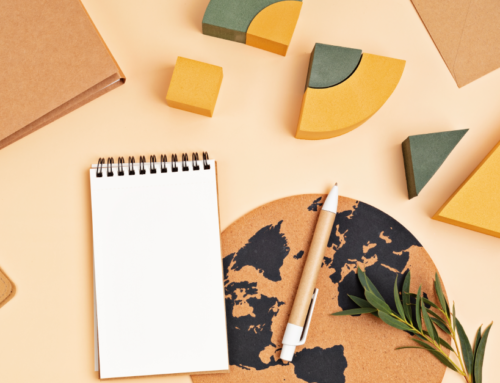 I primi passi di Ci. Sta. I.